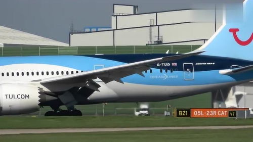 实拍 波音787 8大型飞机,降落机场姿势真稳
